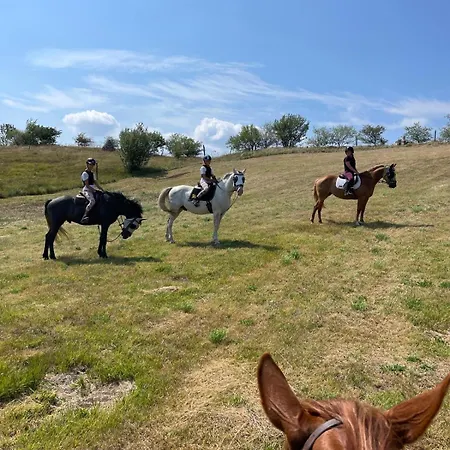 Cosy House Na Robu Grgar