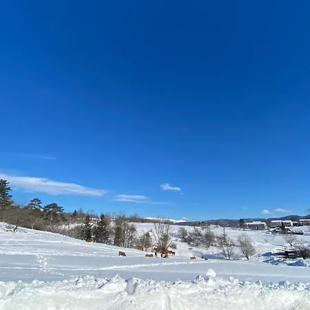 Cosy House Na Robu Appartement Grgar