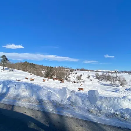 Cosy House Na Robu Appartement Grgar