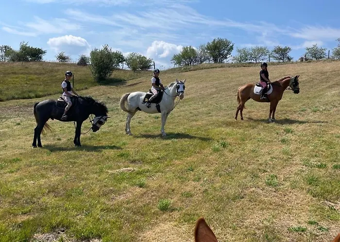 Cosy House Na Robu Grgar