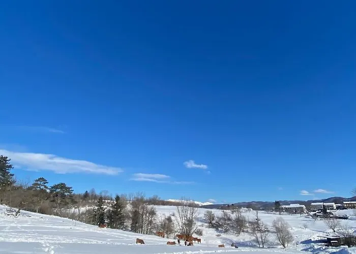 Cosy House Na Robu Appartement Grgar