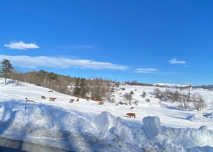 Cosy House Na Robu Appartement Grgar